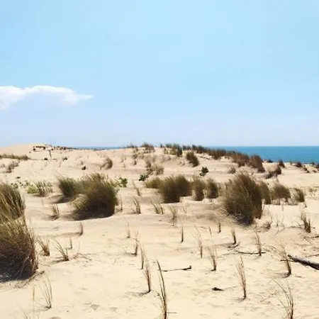 Maison 4 Pieces 7 Pers A Avec Wifi Et Parking - Fr-1-705-12 * La Palmyre