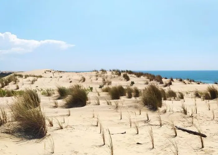 Maison 4 Pieces 7 Pers A Avec Wifi Et Parking - Fr-1-705-12 * Ла-Пальмир